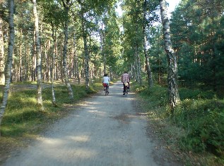 Unterwegs auf dem Ostsee-Radweg: Waldweg nach Zinnowitz