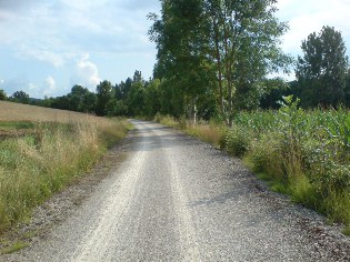 Unterwegs auf dem Radweg Liebliches Taubertal: Radweg zwischen Bieberehren und Creglingen